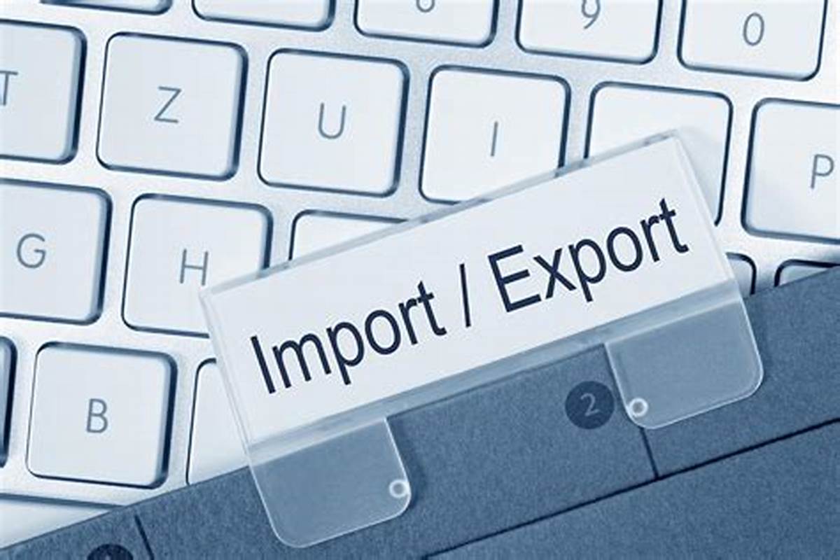 TVA et Import/Export : stratégies pour optimiser les coûts